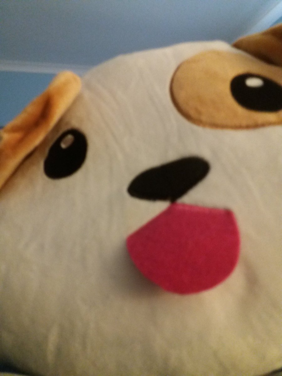 EmmaDoesPE's tweet photo. Weewoo got a emoji pillow https://t.co/8UjmUT3vkT