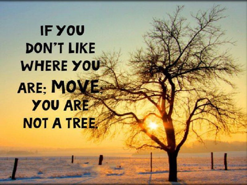 If You Don't #Like Where You Are, Move You Are Not A #Tree.