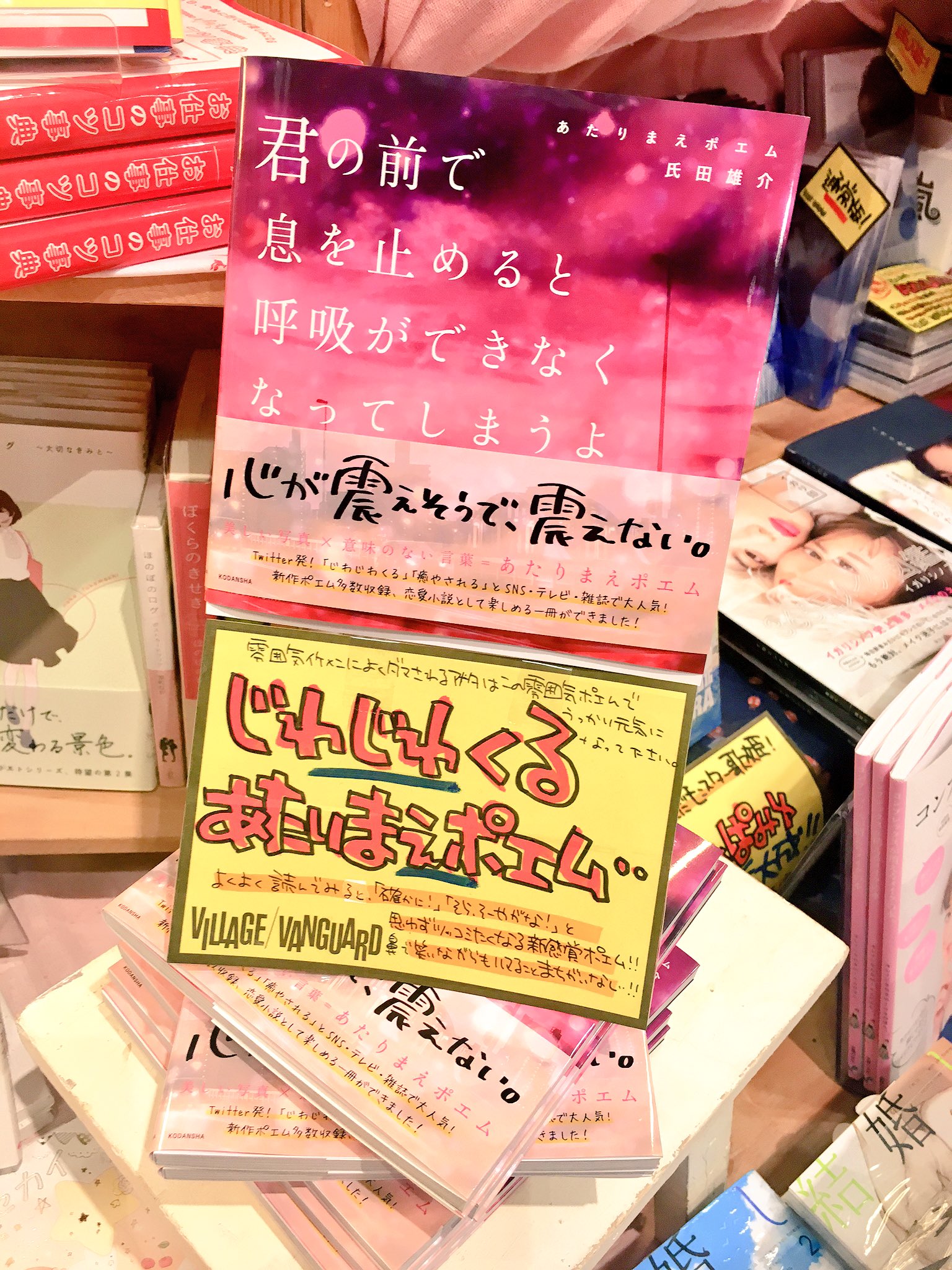 ヴィレッジヴァンガード盛岡南 この手があった 綺麗な写真 それっぽい言葉 思わずうっとり ん あたりまえじゃないかこれ な新感覚あたりまえポエム 雰囲気イケメンによくダマされるそこの貴方 きっとこの雰囲気ポエムでもうっかり元気になれ