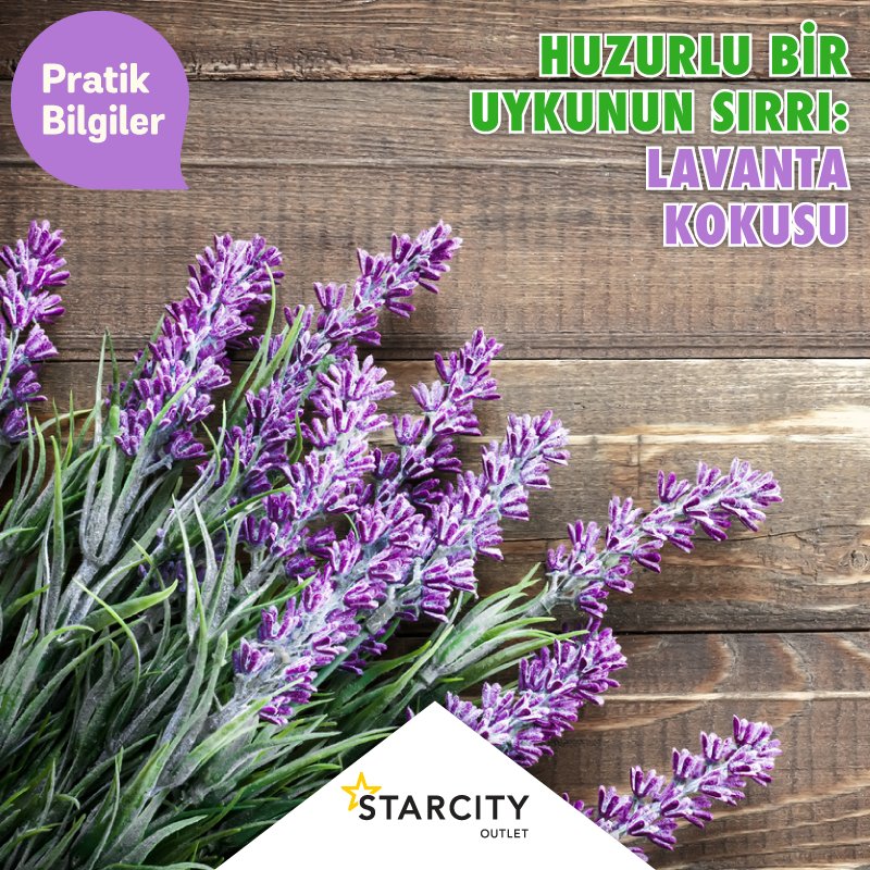 starcityoutlet's tweet photo. Sakin bir akşam geçirmenin ve huzurlu bir uykunun sırrı: lavanta kokusu... https://t.co/pyh28xamQj