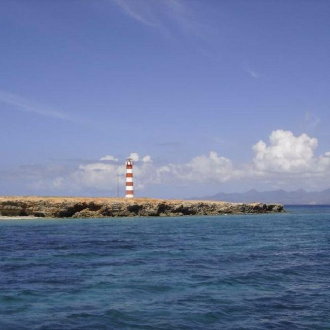 NavegaVenezuela's tweet photo. Faro de la Isla de Cubagua, un hermoso lugar para conocer.
#islacubagua #islacoche #fullday #islamargarita #fulldaycubagua https://t.co/DR2Babh8rc