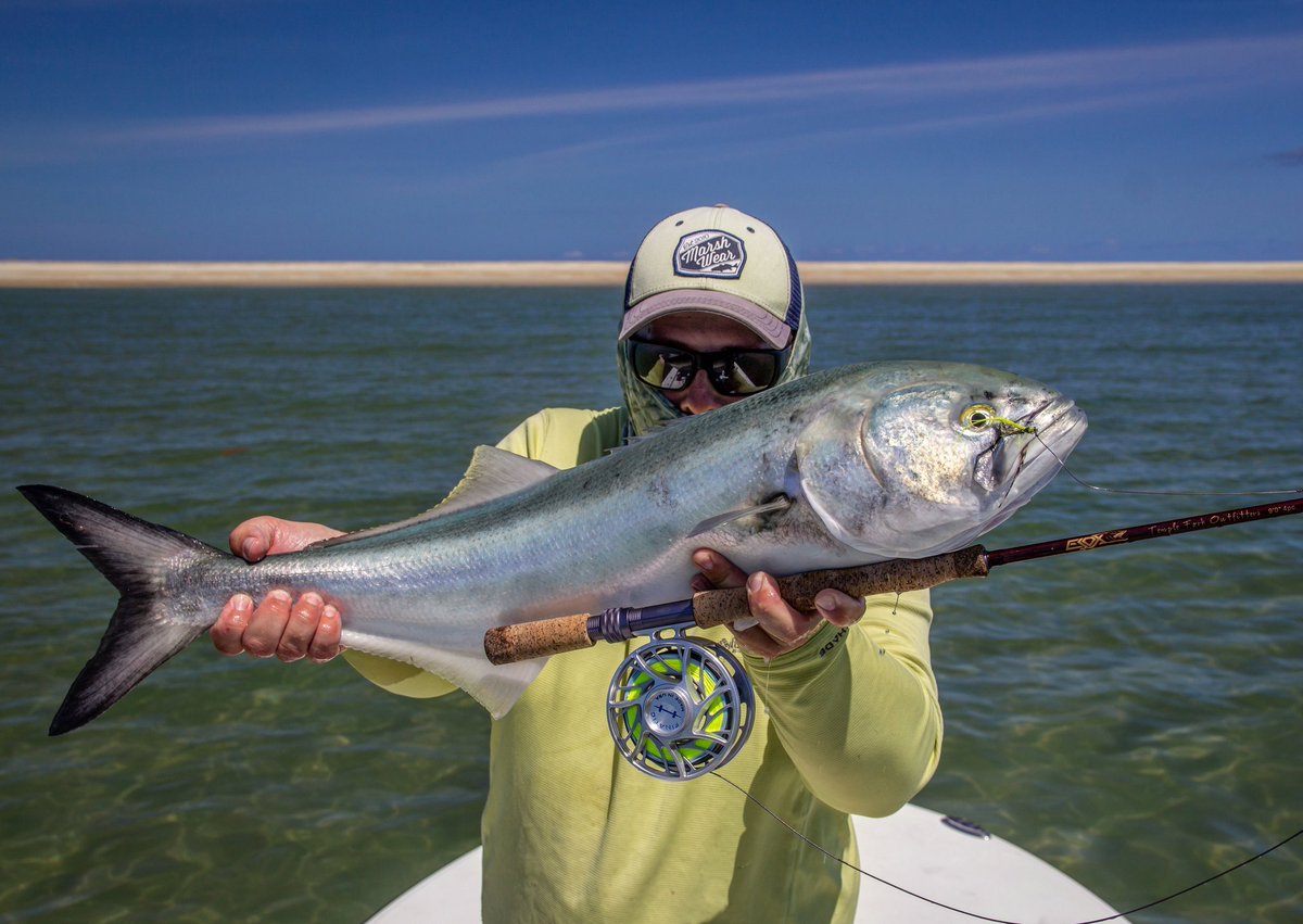 MauserFlyFish's tweet image. We've got the blues.
#flyfishing #bluefish