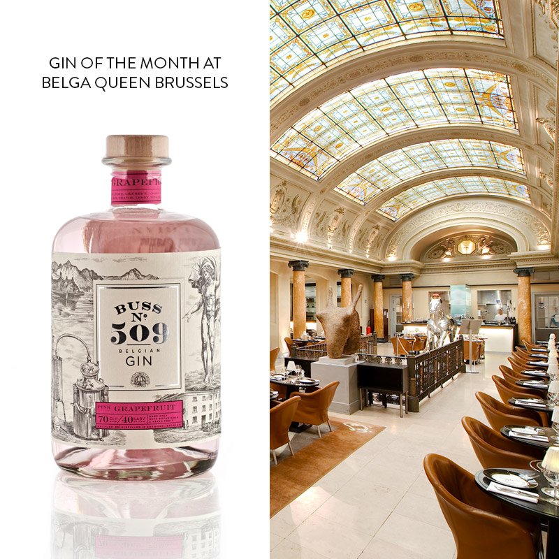 BUSS N509 GIN tweet media