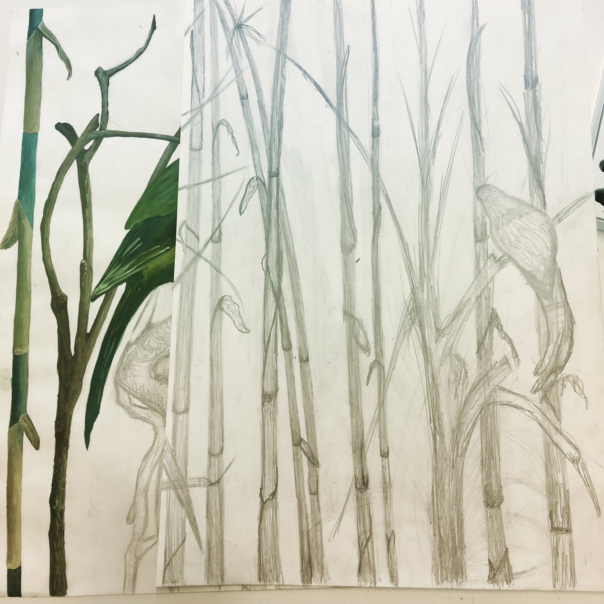 NaderNazari2's tweet photo. #drawing #design #designprocess #development #print #colors #parrots #changes #surfacedesign #FMP #bcu #Birmingham #botanicalgarden #bamboo https://t.co/hrHrIAKdEt