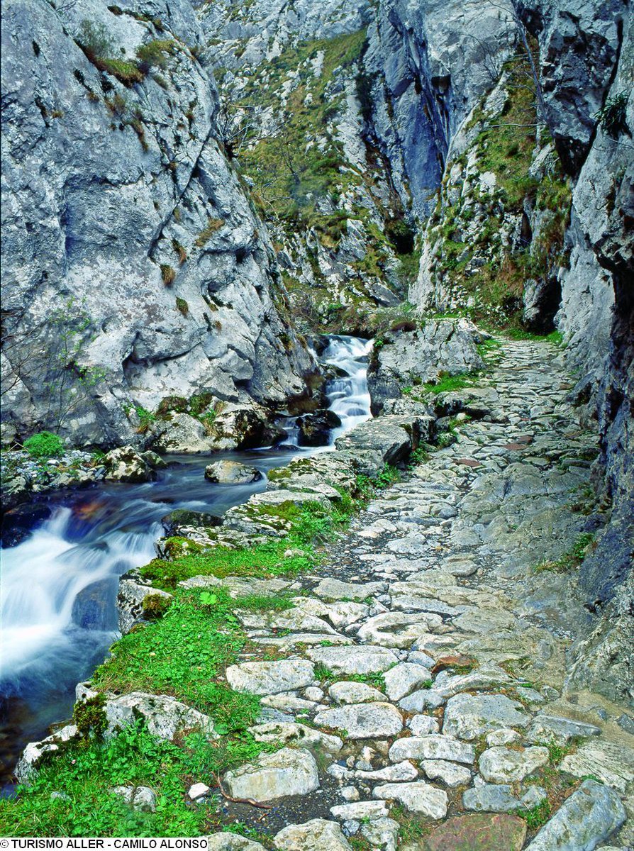 TurismoAller's tweet photo. #SemanaSanta si estás pensando en hacer una ruta de senderismo corta y de baja dificultad, te proponemos Foces de El Pino ¡te encantará!😍 https://t.co/sLAQg0kgMF