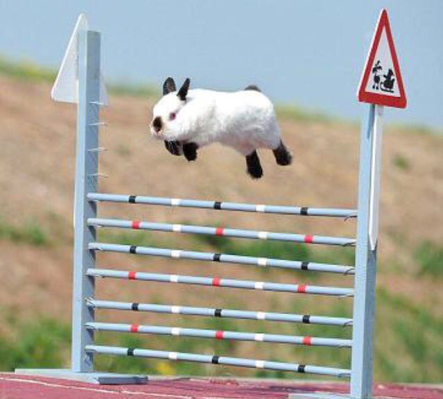 RuralRep's tweet image. "I don't get public holidays," the @ABCRural reporter repeated for the 73rd time. Only to remember actually sometimes she does🐰 #HappyEaster