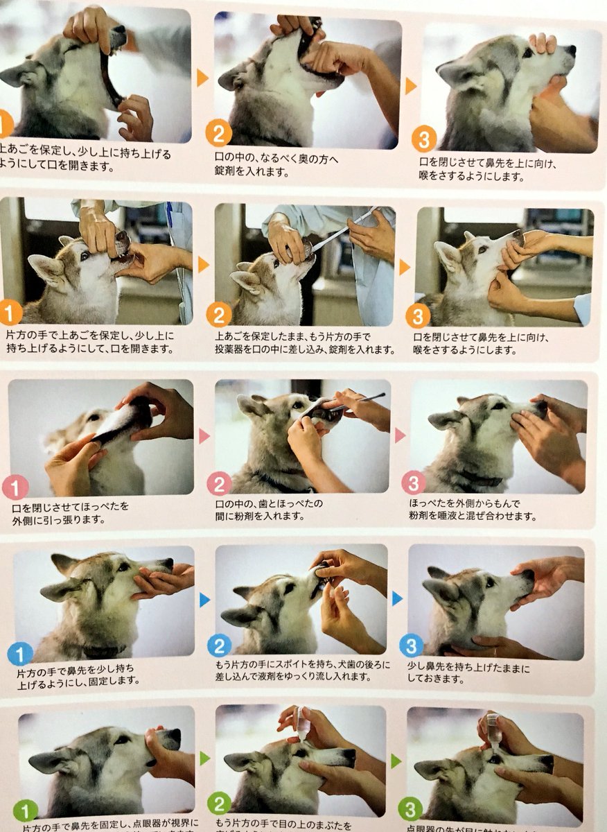 投薬中の猫 解せぬ 動物病院でもらえる雑誌の犬と猫の表情が違っててかわいいw 話題の画像プラス