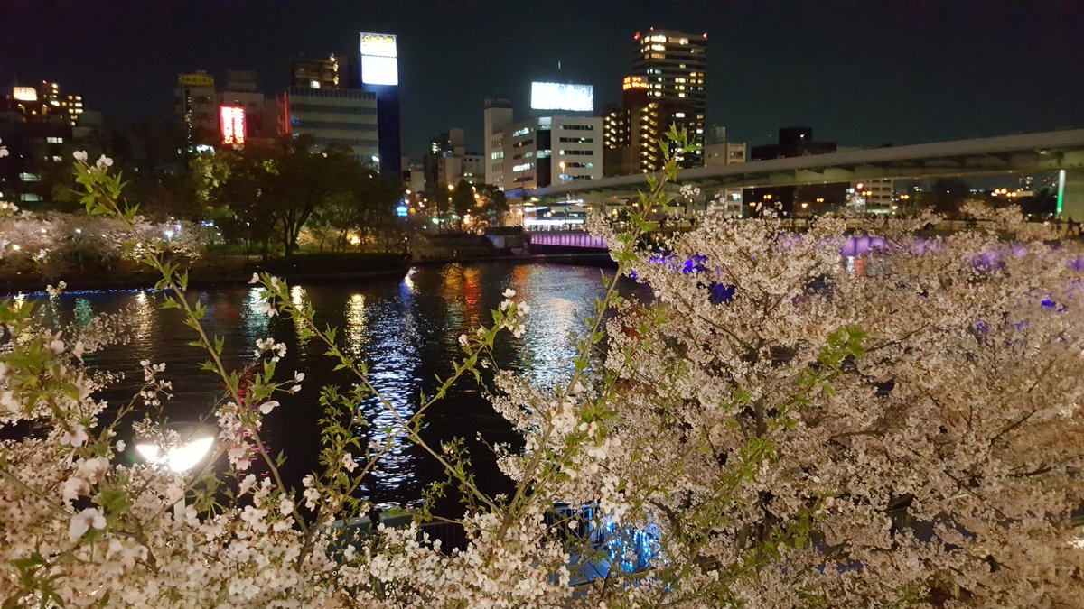 TYosontyangi's tweet photo. 学校、天満橋、大阪城 https://t.co/wlnEdHxvqn