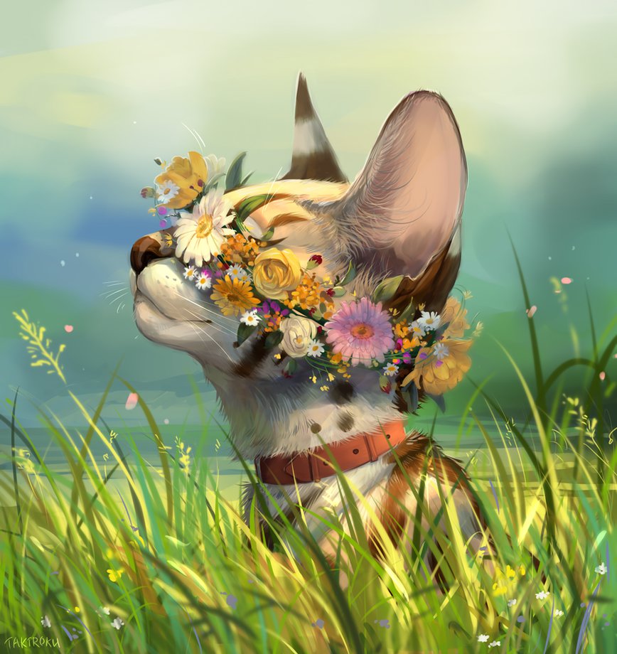 DeviantArt's tweet photo. Flower crown. 🐱💐👑 https://t.co/0oN7dNczTC https://t.co/fWlfwdpEbD