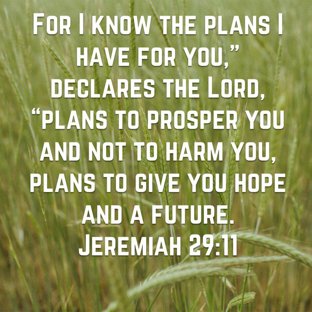 bible.com/111/jer.29.11.…
