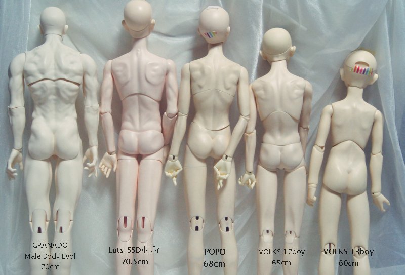 GRANADO グラナド Male Body Evol - agence-immobiliere-madagascar.com