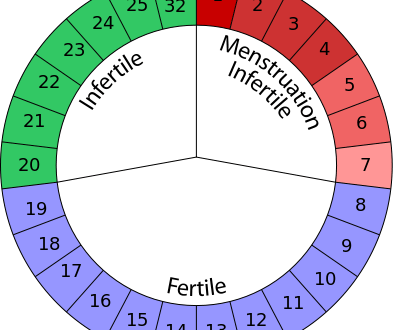 Kubety_'s tweet photo. Cómo saber si un calendario de ovulación fiable https://t.co/dvra5Jf15K https://t.co/ajMO1UknWu