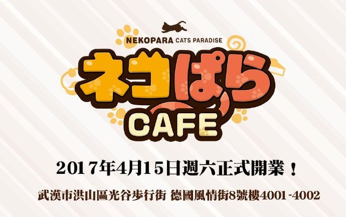 ネコぱら バッグセット サンシャインクリエイション65 ゲキレア