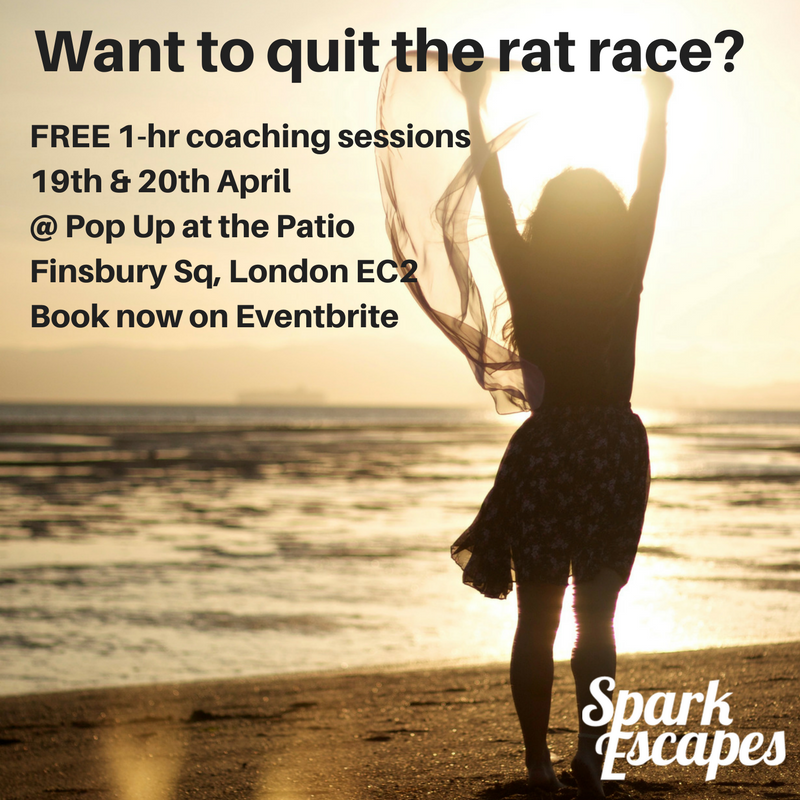 Faith Hill Coaching tweet media