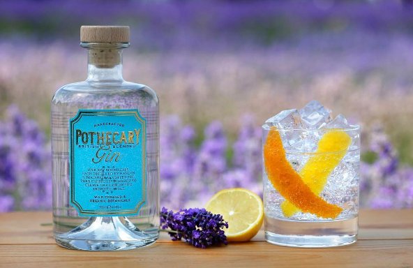 ginraguk's tweet photo. A classic slice of orange or lemon is perfect in a @PothecaryGin &amp; tonic. Or add sprig of rosemary for a twist https://t.co/qrTtZxdszk https://t.co/VbltGTTmXt