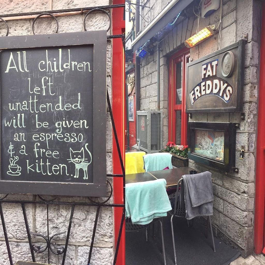 ecotreasure's tweet photo. Listening to #music #latinquarter @fatfreddysrestaurant #sitincomfort #pillows #blankets anyone for a #free #kitte… https://t.co/bFok8kb4lm https://t.co/xtfK41PEVO