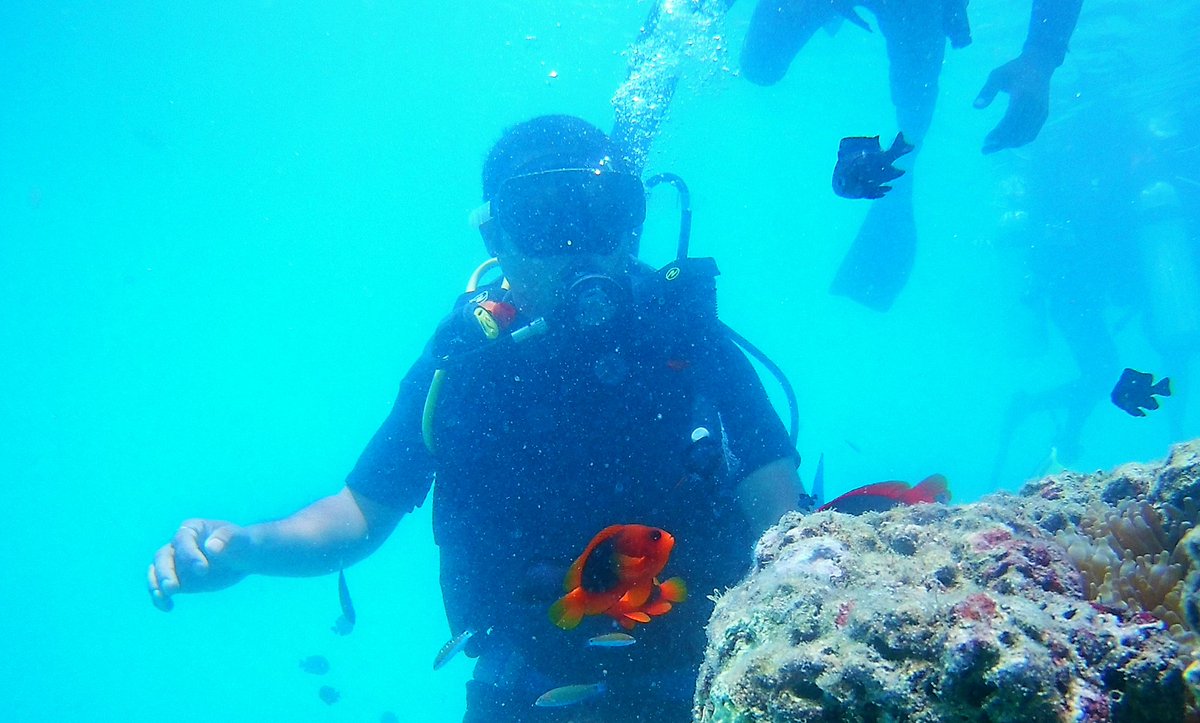 gowander_anupam's tweet photo. One of the finest moments of my adventure travel. Scuba Diving at Northbay Island at #Andaman. Underwater marine life is simply amazing. https://t.co/vB4KdUoQbp