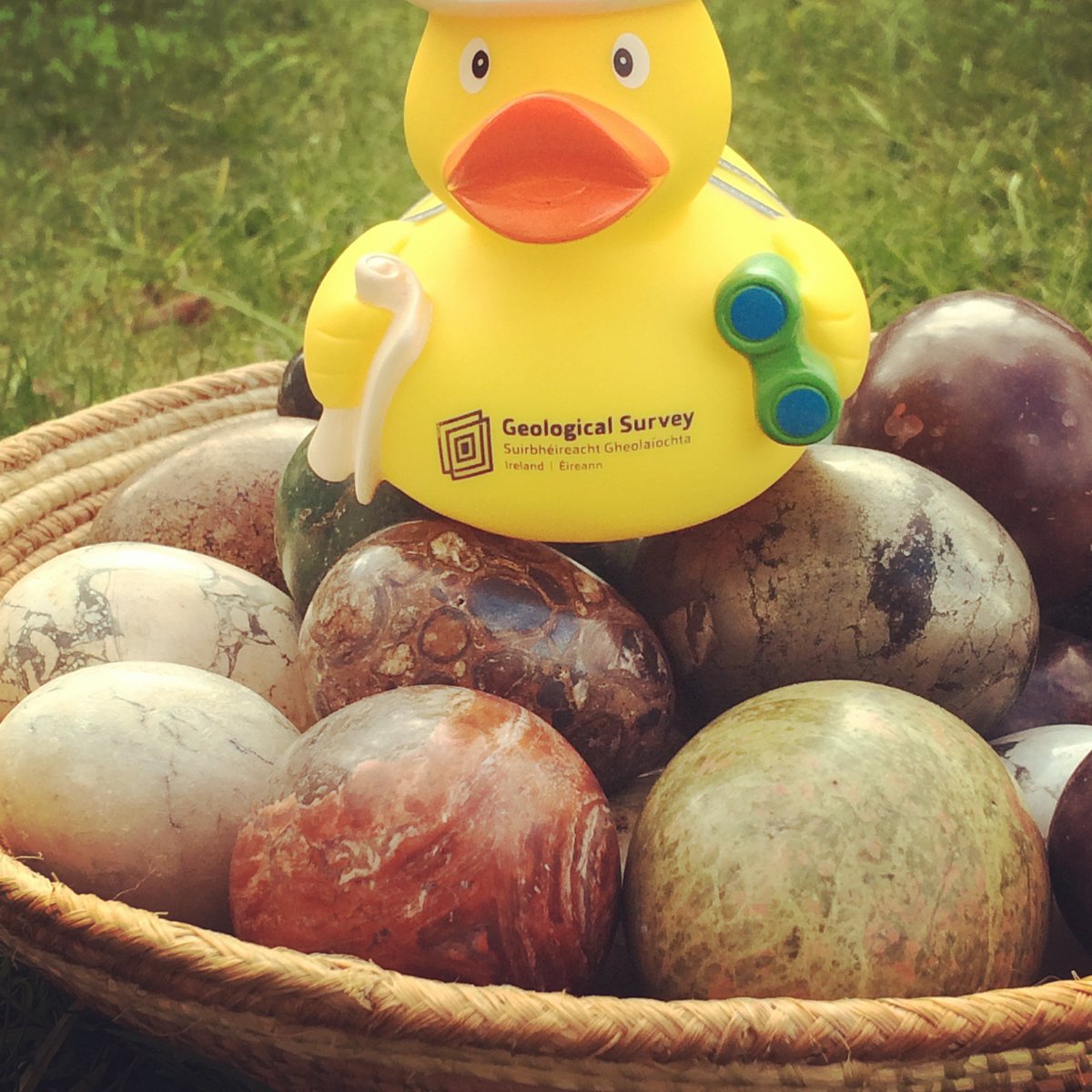 GeolSurvIE's tweet photo. Our new little duck, ready for #Easter here at GSI needs a name! Something in #Irish or related to #geology would be fab. #whosthatduckie? https://t.co/rv4QqLqLDA