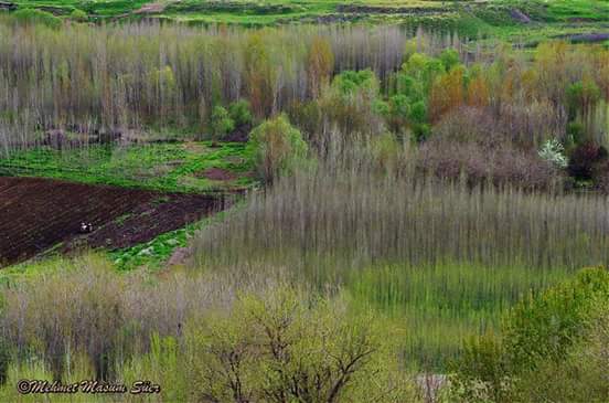 World cultural heritage, ecological gardens of Hevsel in Diyarbakir. 13/04/2017