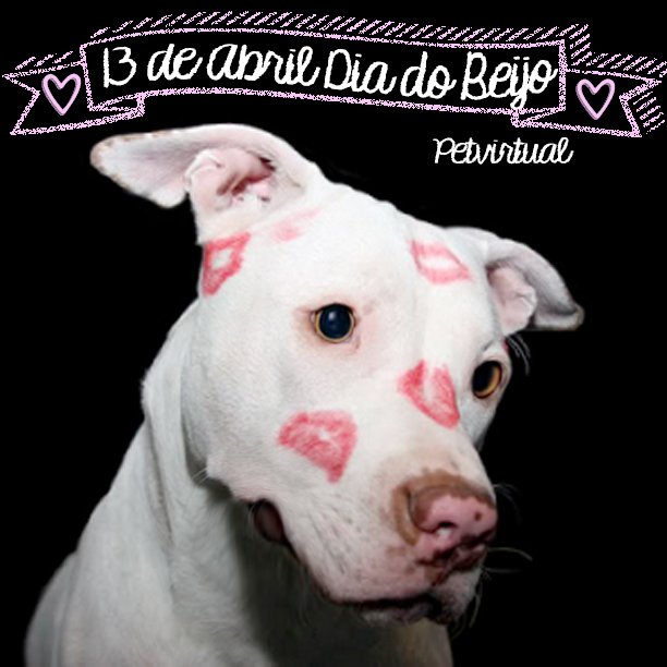 Pet_Virtual's tweet image. Você já beijou hoje?

#pets #diadobeijo #love