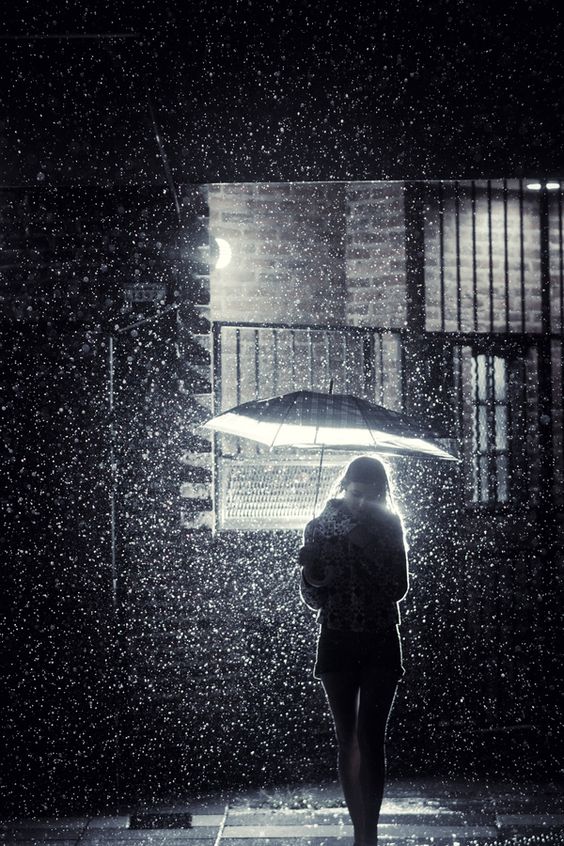 collector_dream's tweet image. rain drops...#photography #art