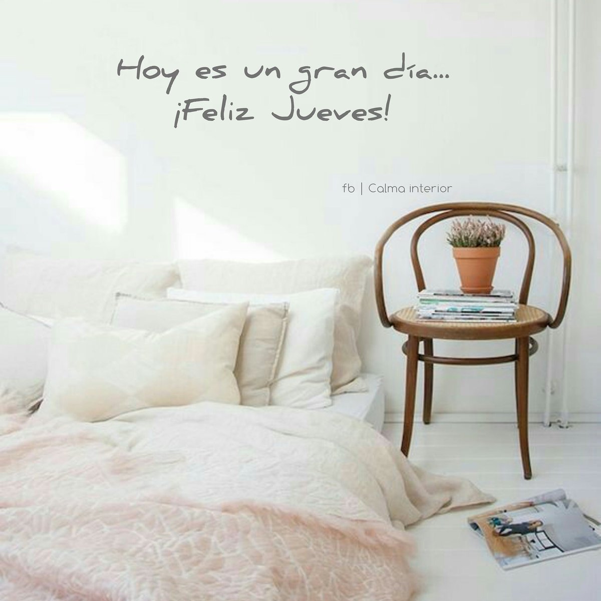 calmainterior21's tweet photo. Hoy es un gran día... ¡Feliz Jueves!
#calmainterior #buendia #felizjueves #congratitud https://t.co/CdhNHNry3m