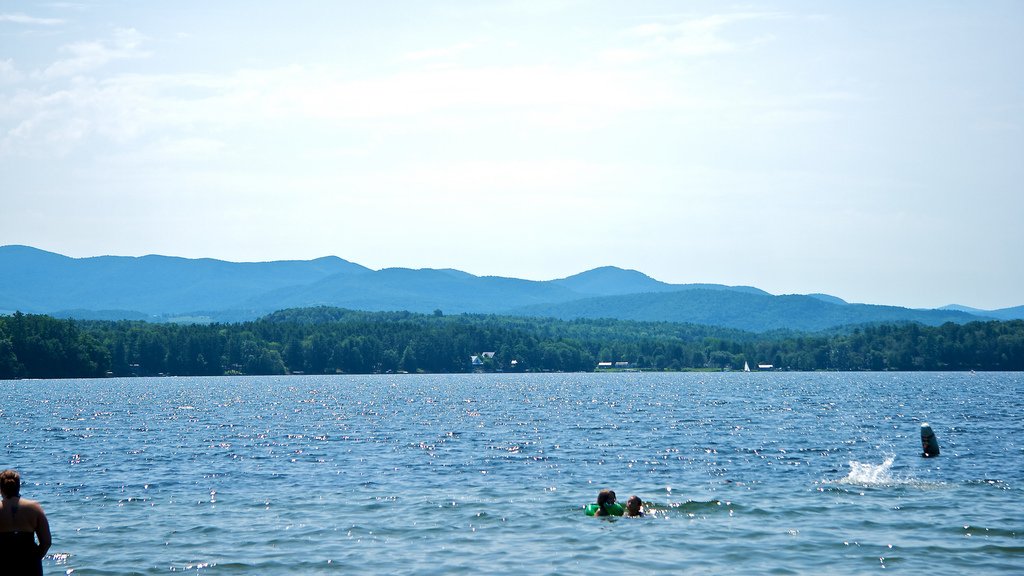 Photo

The post  Photo  appeared first on  Lakes Region Vermont .

lakesregionvt.com/photo-2/