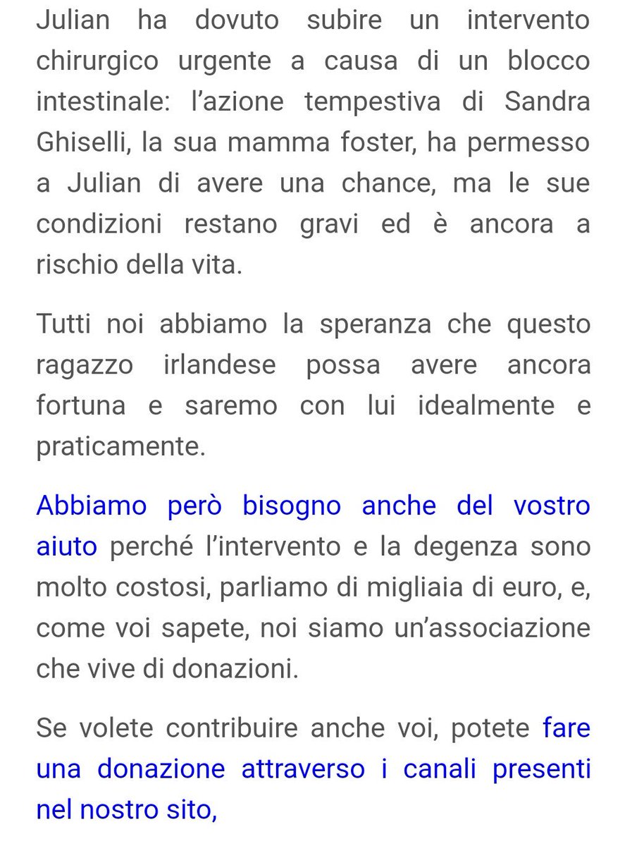 PetLevrieri's tweet photo. #Aiuto💸 Julian #Greyhound in Italia in una famiglia foster 
Operato d'urgenza per un'occlusione ancora in pericolo➡🕯
https://t.co/MGJpDAXWnG https://t.co/Be7teUo22V