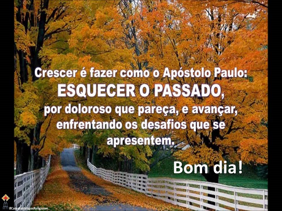 CatedralReligio's tweet photo. Bom dia! https://t.co/t9kGc7kyVj
