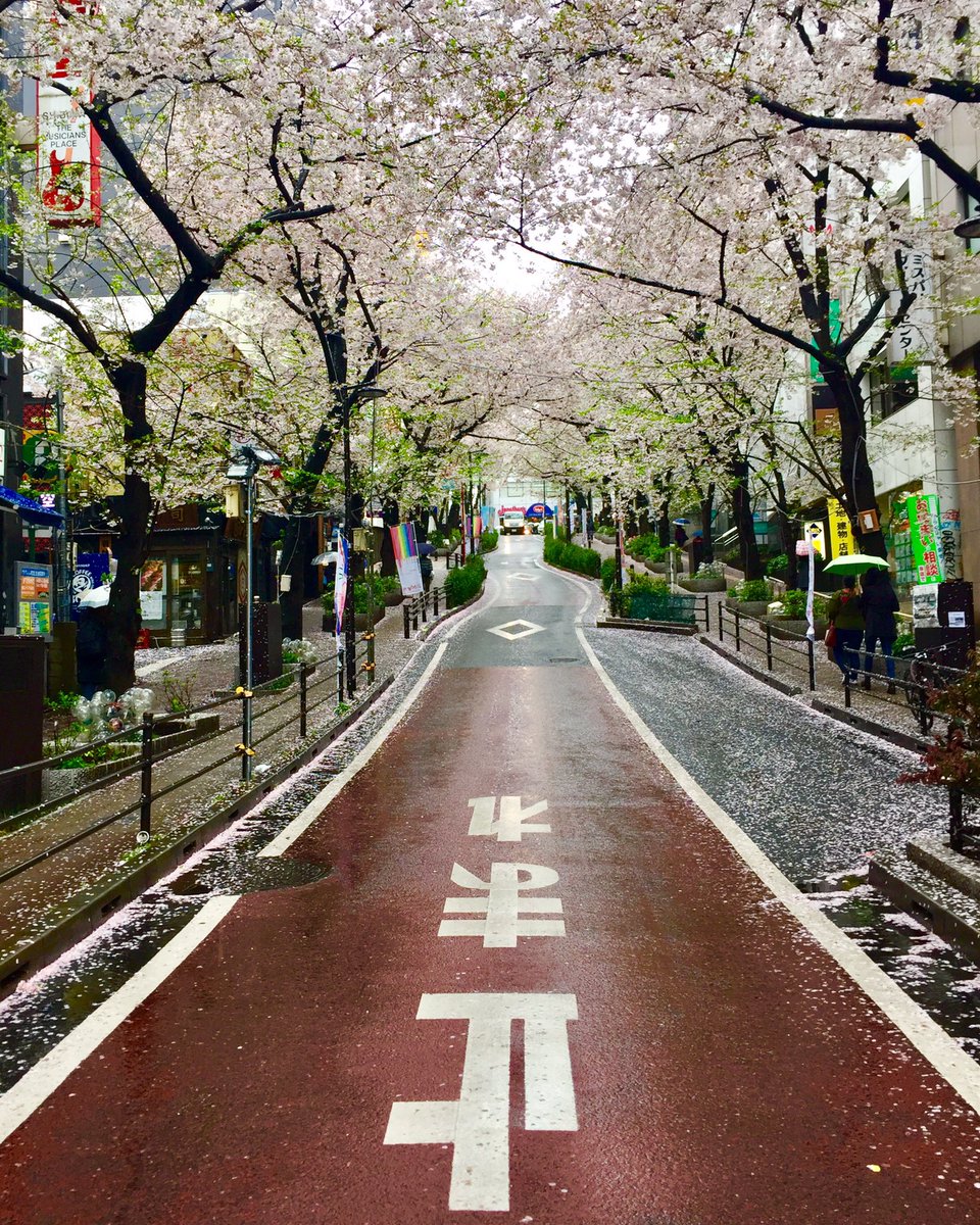JoshDy_'s tweet photo. Land of the Rising Sün 🎌 https://t.co/LPXdwM5IXg