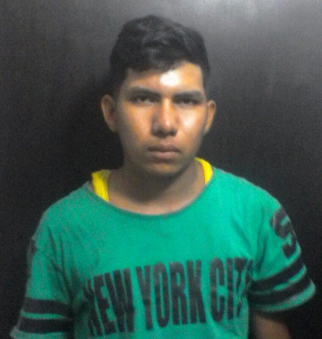 Ver imagen en Twitter