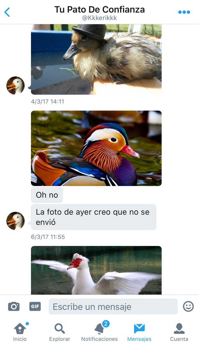 masademocrata's tweet photo. Gracias Internet. Gracias. https://t.co/wCx0RDXOCz