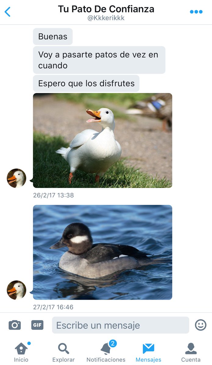 masademocrata's tweet photo. Gracias Internet. Gracias. https://t.co/wCx0RDXOCz