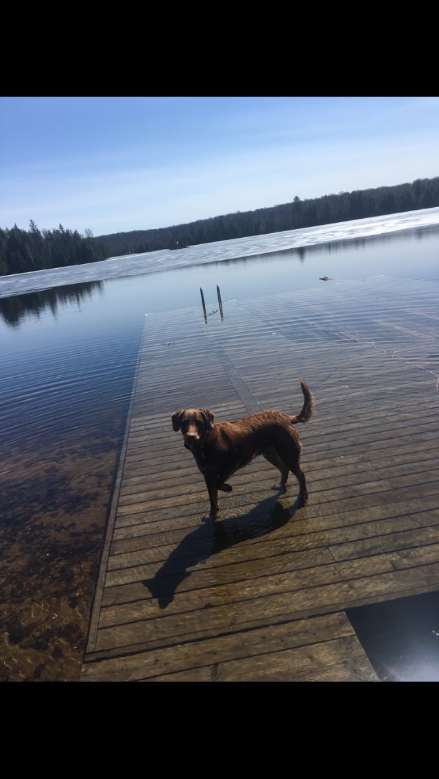 NotJackBoyden's tweet photo. One like and charlie and I will go for a dip #ferda https://t.co/ZIsLnfFpky