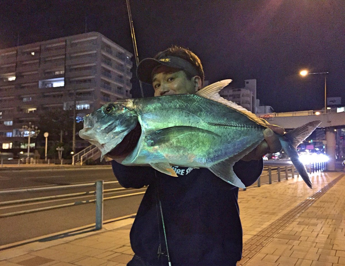 Ochiai_R59's tweet photo. また来た…@泊高橋
記憶では1投しかしてない…笑
#reins #SlimDownShot #AXCraw https://t.co/K70xn9uxIO