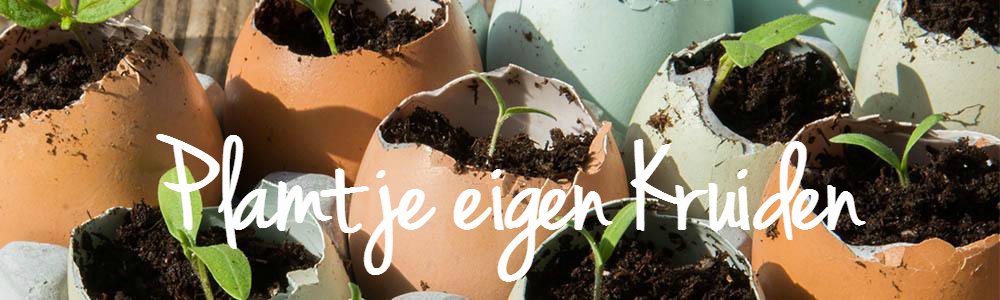YoorsBlogGroep's tweet photo. Haal de Lente in Huis met deze leuke Tip... ook leuk om te doen met kinderen... https://t.co/aV7qn4I5kG https://t.co/LIEowxq3NY
