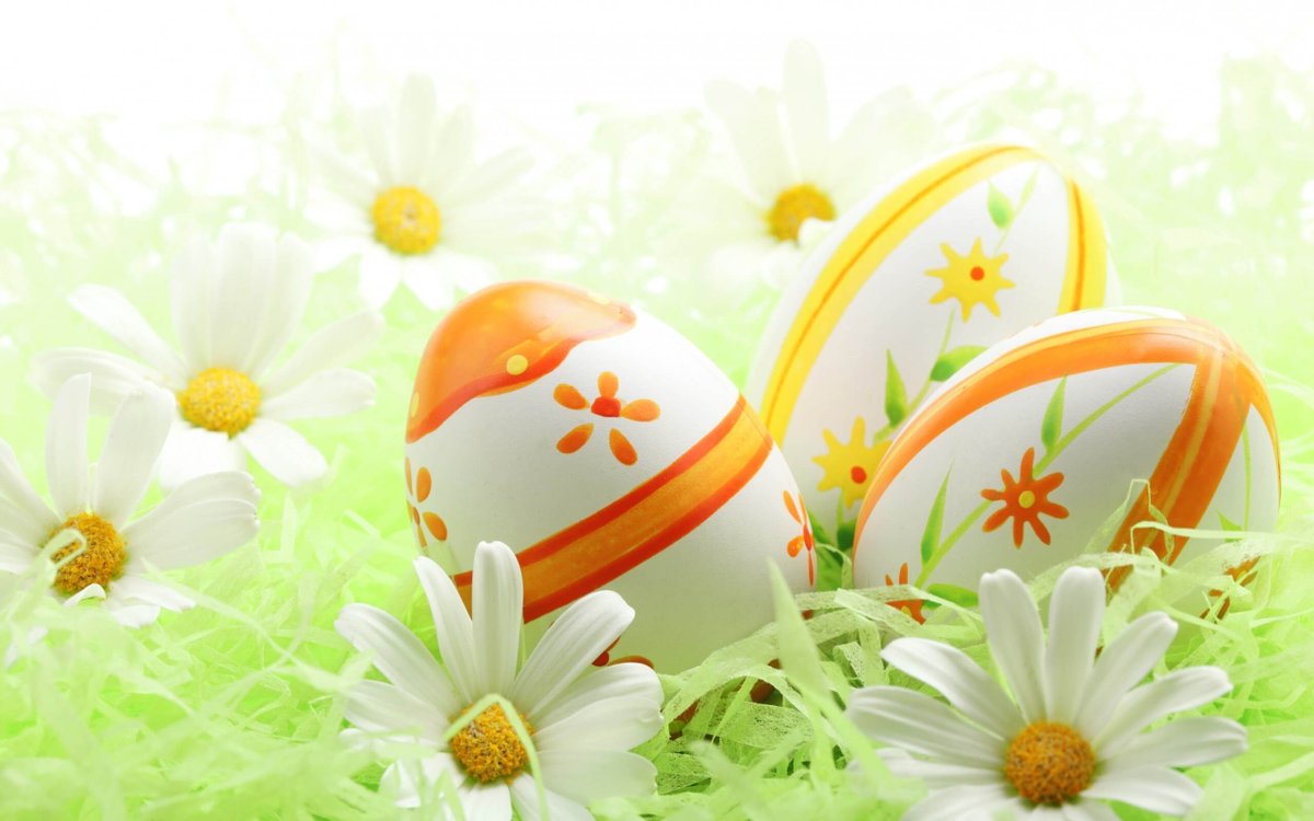 Happy Easter from everyone at Daisy Chain