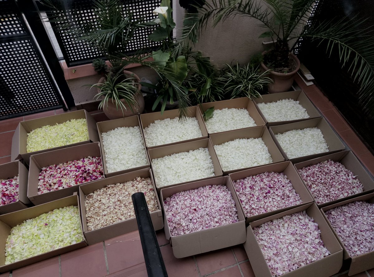 Manugueju's tweet photo. Todo preparado para la "Petalá" en O'Donnell a Nuestra Señora de la Esperanza. @EspDeTriana @LaPasionCTV #SSantaSevilla17 #SSantaElCorreo https://t.co/ZFWmCbAjdD