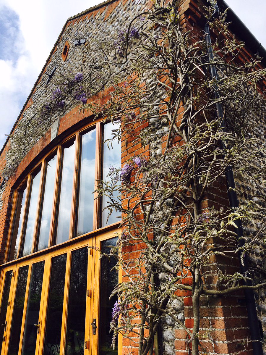 chaucerbarn's tweet photo. Our beautiful Wisteria is now starting to bloom!
#Norfolk #springtime https://t.co/nk0V0oqK6V