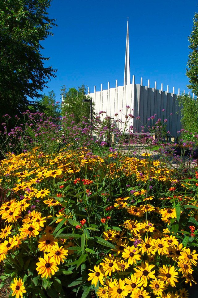 gustavus's tweet image. He is risen! 

Happy Easter, Gusties!