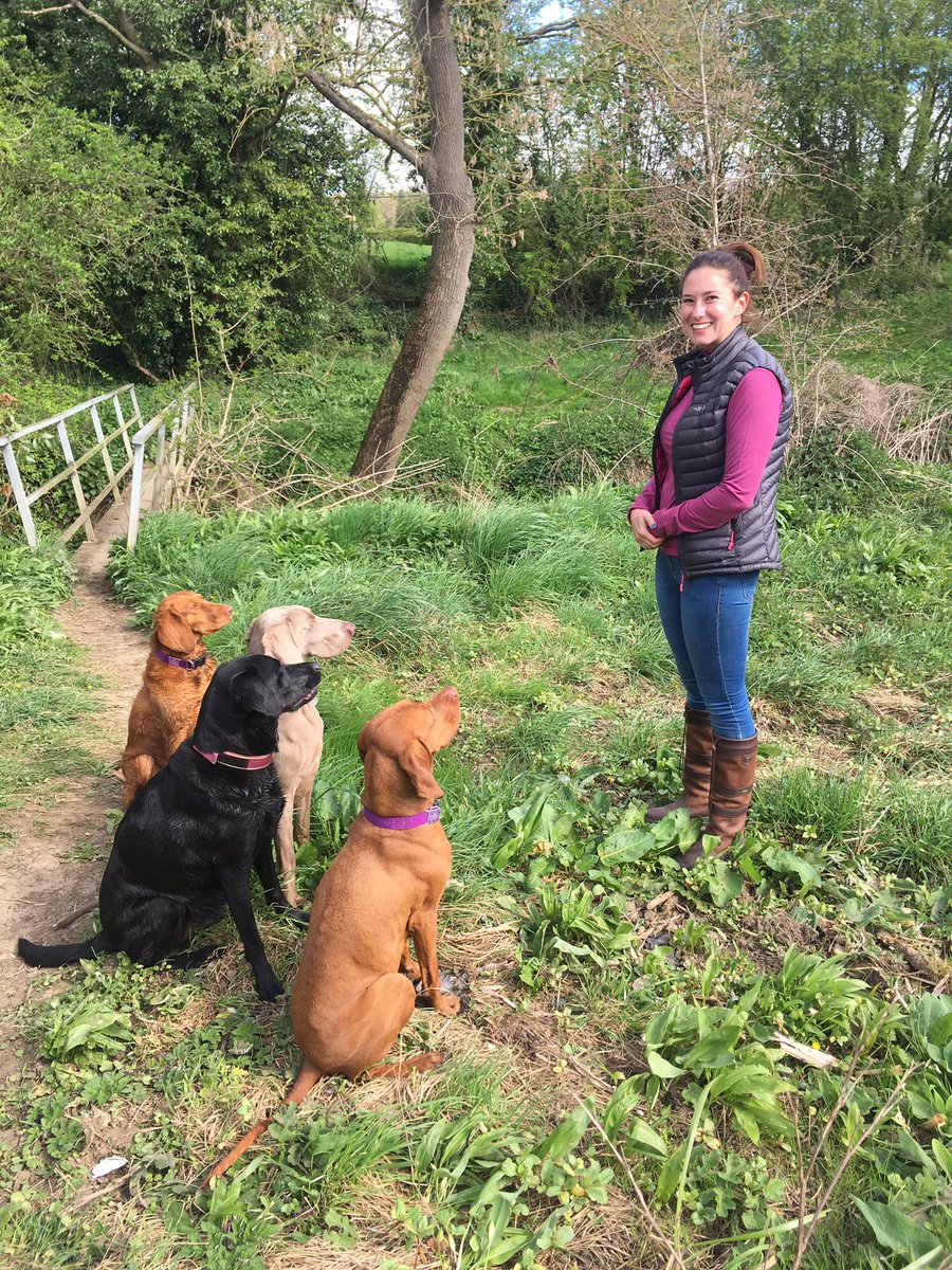 teamFMDW's tweet photo. Looking forward to the long weekend.. remember to keep those chocs out of paws reach over Easter #nochocs #dogtreatsonly #keeppoochsafe https://t.co/YmwiycZKYx