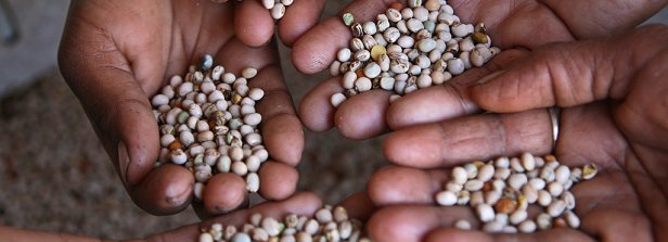 foodplatform's tweet photo. Inspiring #FFAtalks today with discussions on Access to #seeds: learn more on seed systems in our Knowledge Portal https://t.co/Hx9ryLUye6 https://t.co/UAi5iczfd2