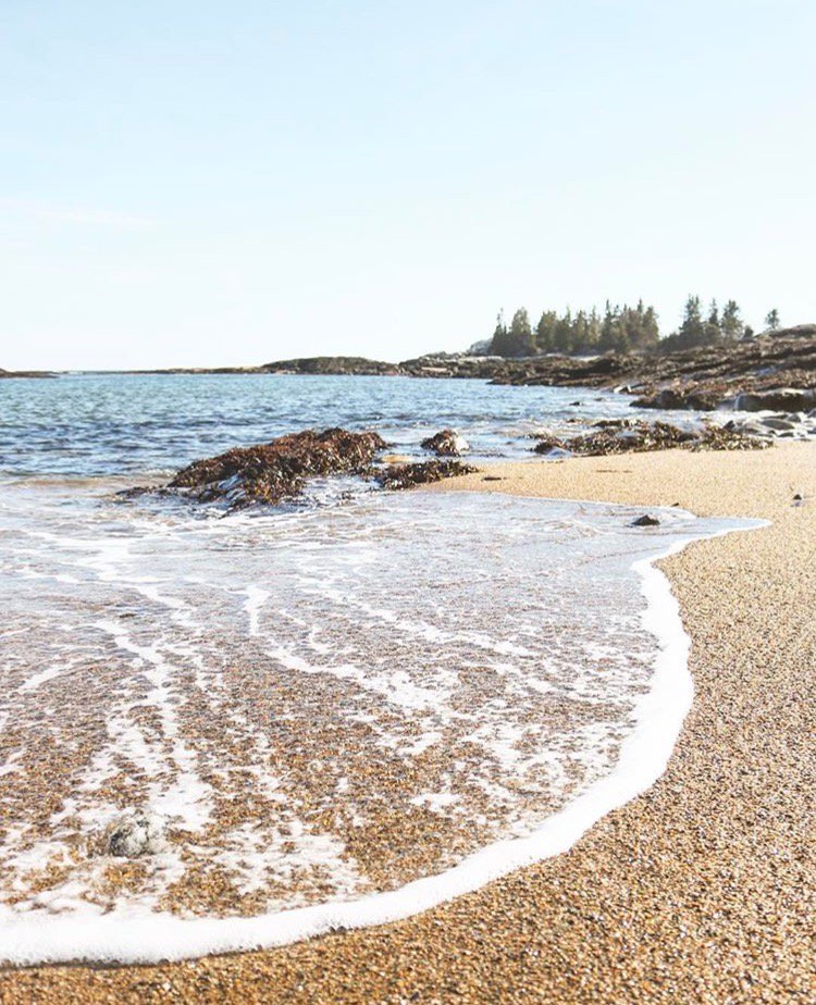 visitmaine's tweet photo. The coast is calling, retweet if you're in need of a beach day. #MaineThing #ReidStatePark
Photo via Instagram: @ casandrasutter https://t.co/B6dhr0KqfS