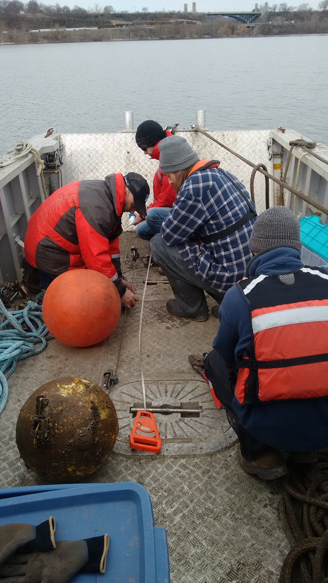 jillbrooks85's tweet photo. 1st DO chain of the season getting rigged, so excited for an October download. #whereswalleye #hypoxia #somanyloggers #hamiltonharbour https://t.co/ebu7Y70ad9