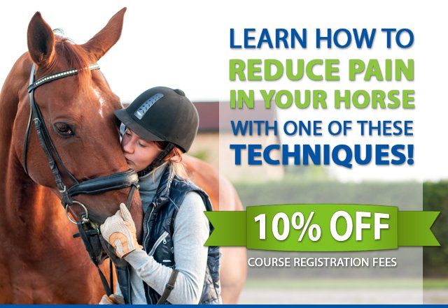 Reduce pain in your horse with one of these techniques! and SAVE 10% #horses #reducepain conta.cc/2o9zDse