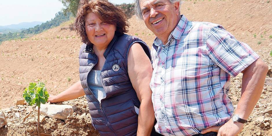 lalibrebe's tweet photo. "L’agriculture de demain est verte" https://t.co/GPa0IPRAzY https://t.co/gd9bPIkEO2
