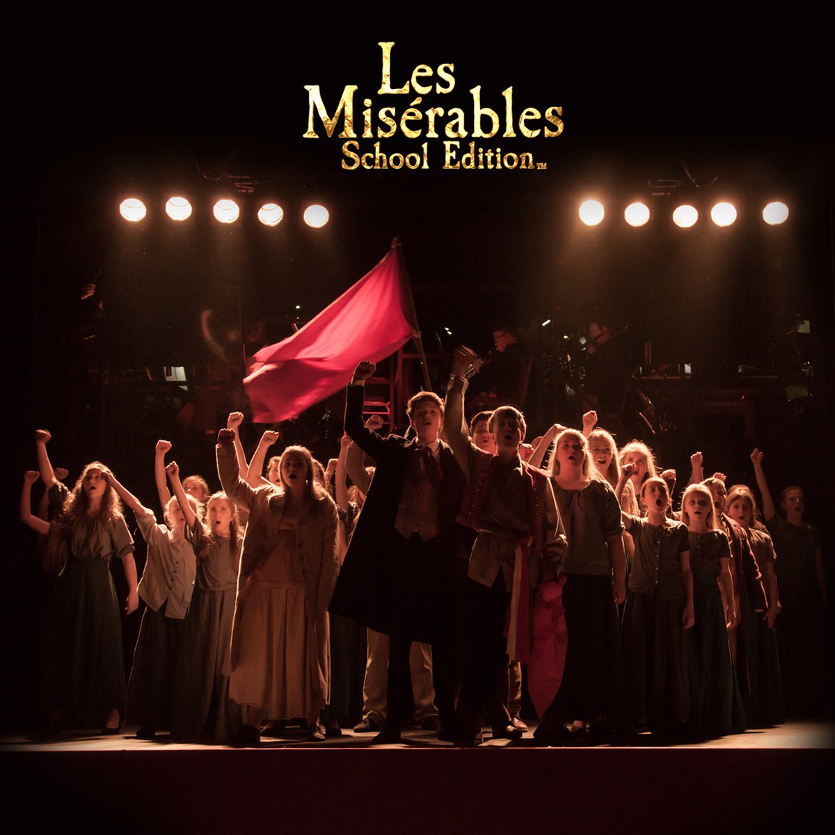 Some amazing feedback about our production of Les Mis! Don't miss it, visit playerstheatre.info to book  #whatson #theatre #lowestoft