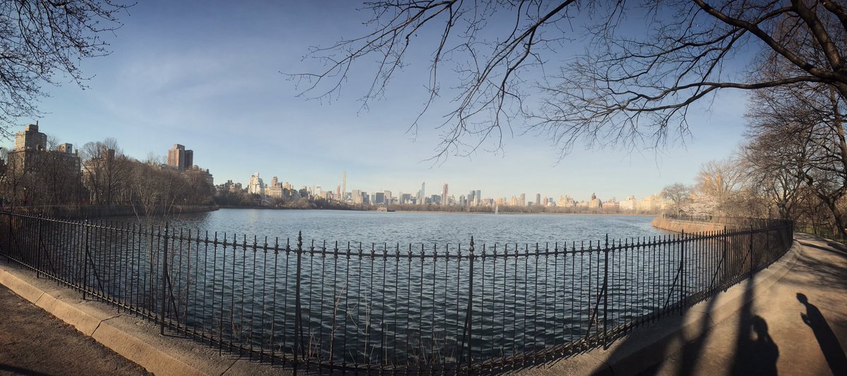 2017SOBO's tweet photo. I see this beautiful view in Central Park, yet all I can think of is hanging a bear bag on that lovely branch to my right.

#at2017 https://t.co/bub8Wf0XIC