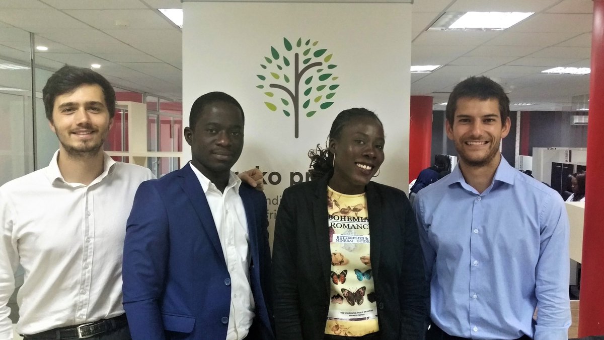 iroko project tweet media