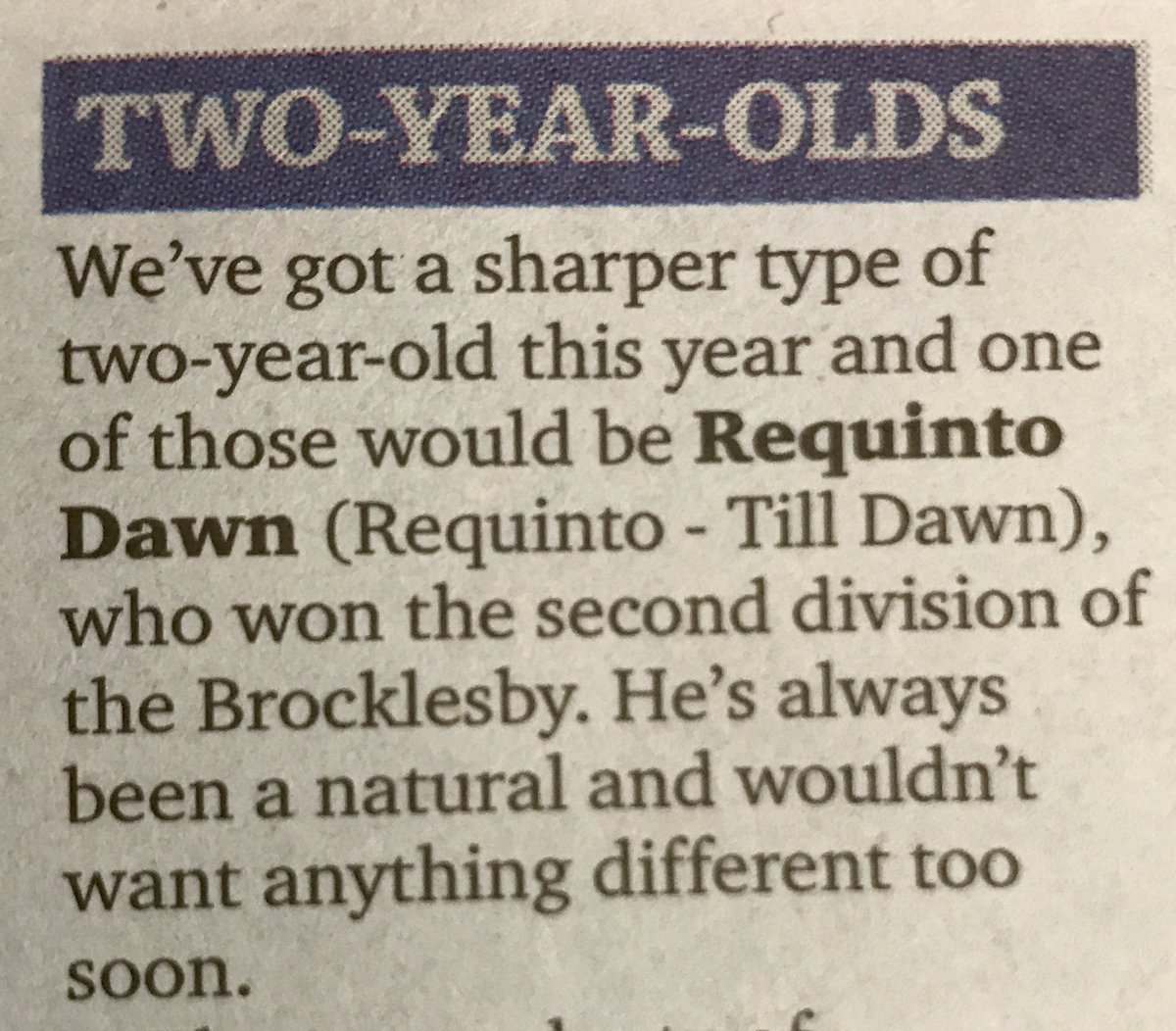 coolmorestud's tweet photo. Sharp Brocklesby wnr Requinto Dawn (Requinto) is wellnoted in the @RichardFahey Stable Tour in today's @RacingPost  #2YOSpeed #CoolmoreSires https://t.co/08pMgVHLJQ